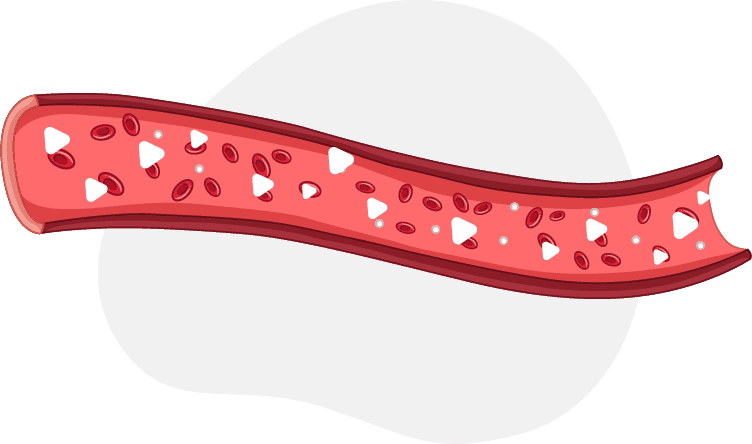 producción insulina